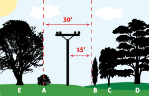 Right-of-Way - White River Valley Electric Cooperative